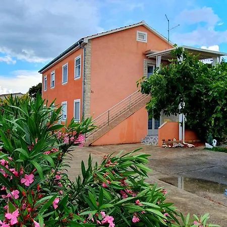 Daire Apartman Antea *